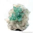 Apophyllite on Stilbite - image 1