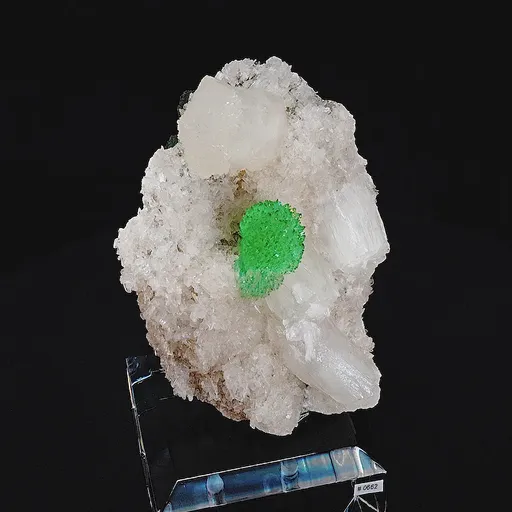 specimen video