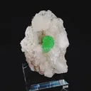 specimen video