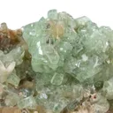 Apophyllite on Stilbite - image 2