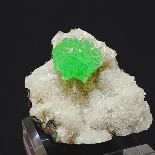 specimen video