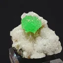 specimen video