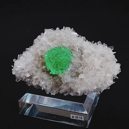 specimen video