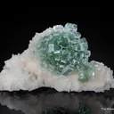 Apophyllite on Stilbite - image 1