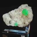 specimen video