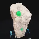 specimen video