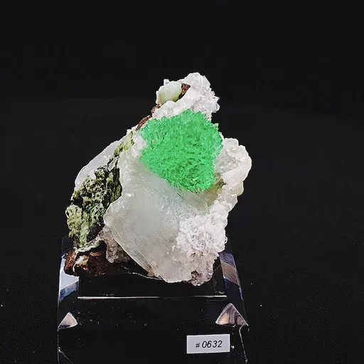 specimen video