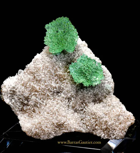 Apophyllite on Stilbite image