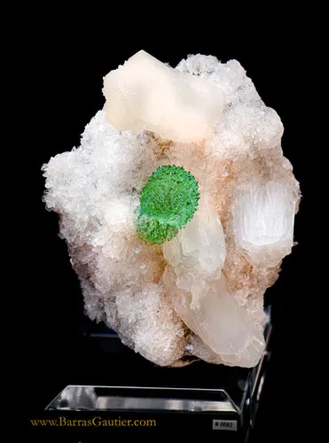 Apophyllite on Stilbite image