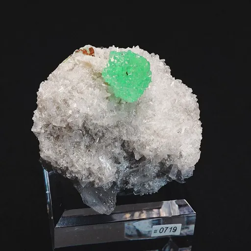specimen video