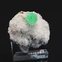 specimen video