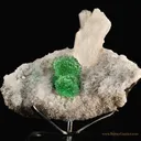 Apophyllite on Stilbite - image 1