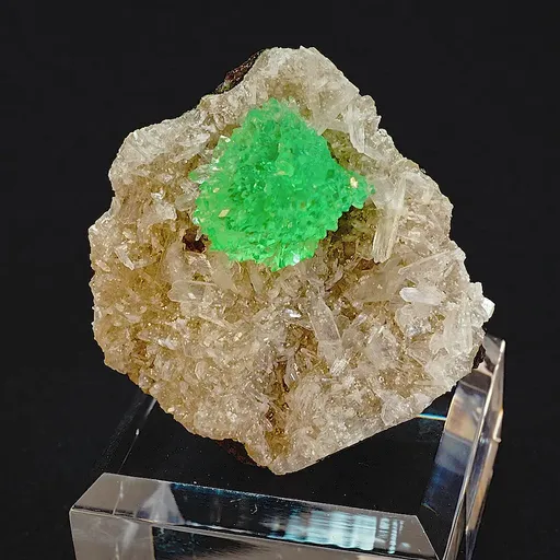 specimen video