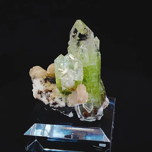 specimen video
