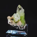 specimen video