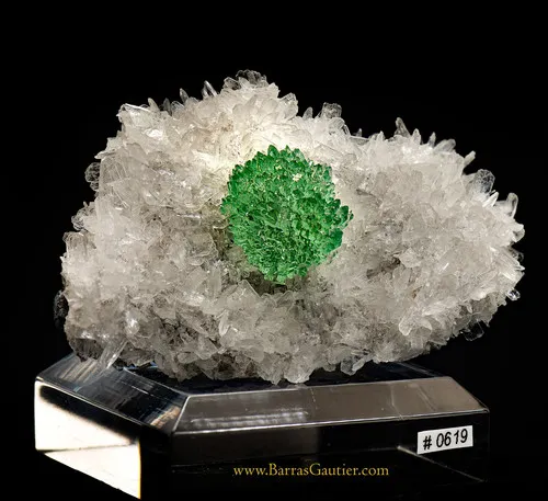 Apophyllite on Stilbite image