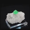 specimen video