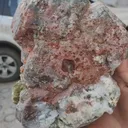 specimen video