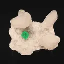 specimen video