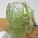 Apophyllite w/ Stilbite - image 2