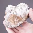 Apophyllite with Inesite - image 2