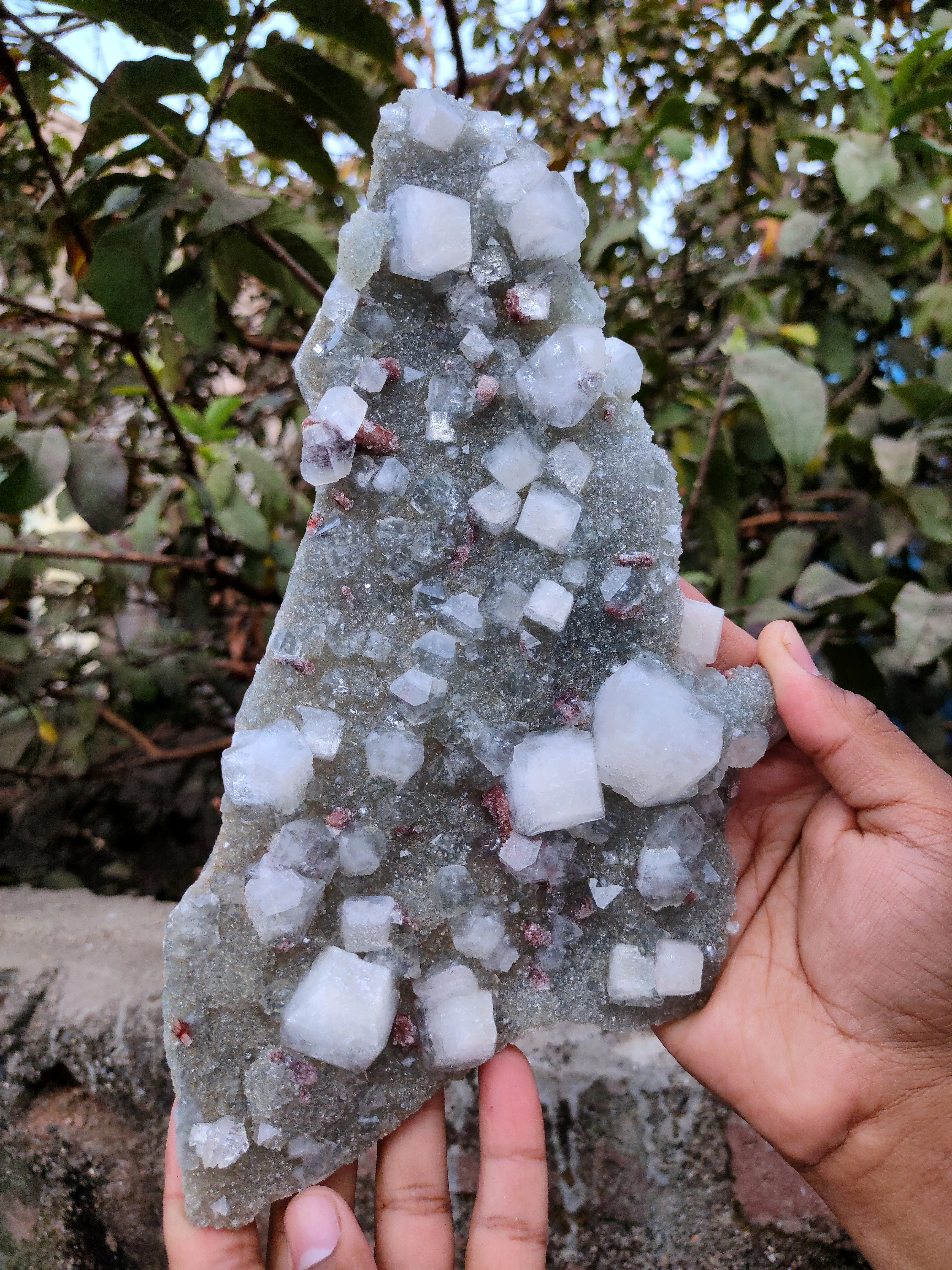 Apophyllite with Red Stilbite On Chalcedony - image 7
