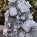 Apophyllite with Red Stilbite On Chalcedony - image 3