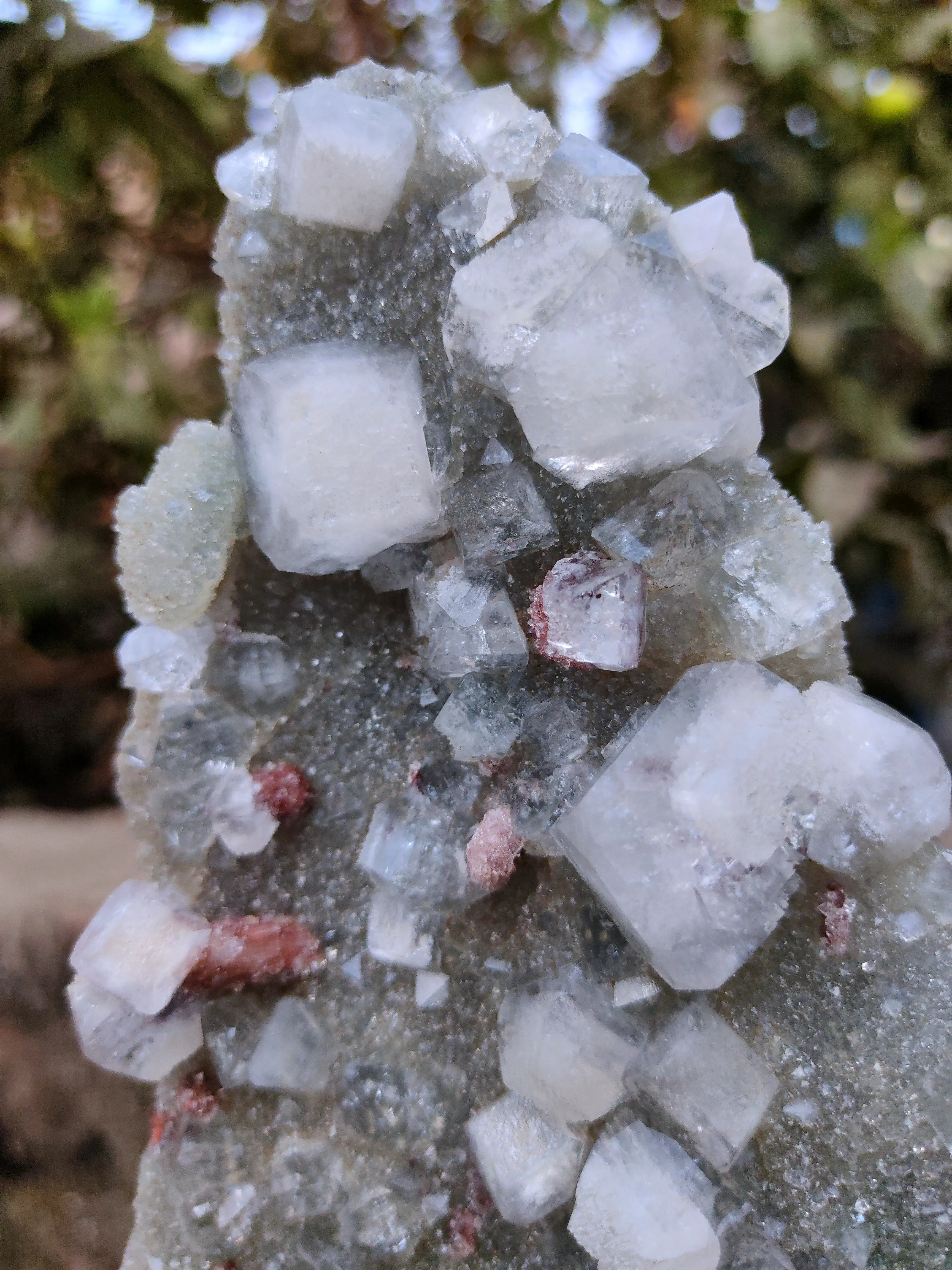 Apophyllite with Red Stilbite On Chalcedony - image 3