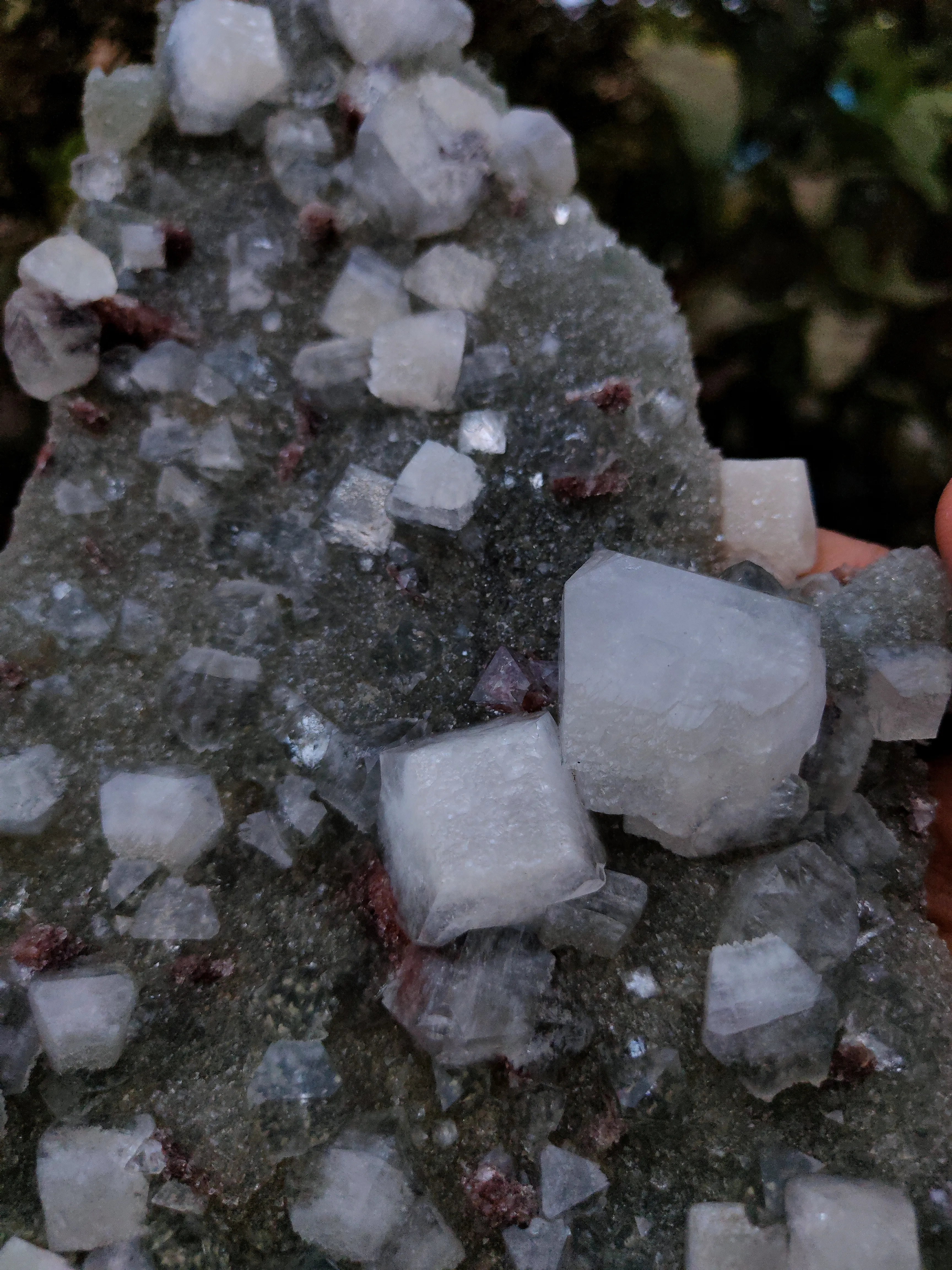 Apophyllite with Red Stilbite On Chalcedony - image 4