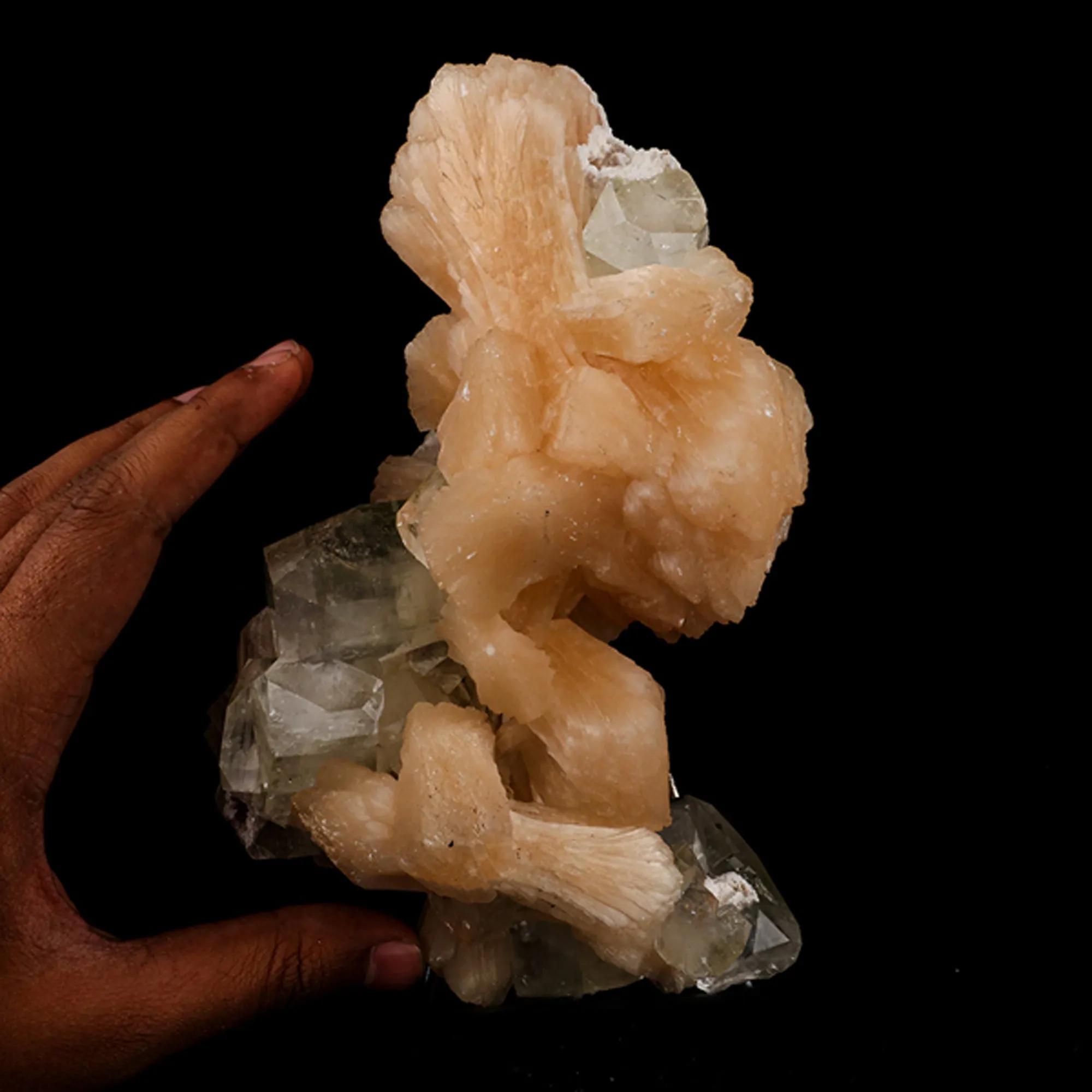 Apophyllite with Stilbite Natural Mineral Specimen - image 3