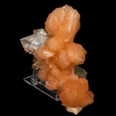 Apophyllite with Stilbite Natural Mineral Specimen - image 2