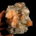 Apophyllite with Stilbite Natural Mineral Specimen - image 5