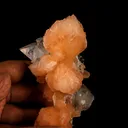 Apophyllite with Stilbite Natural Mineral Specimen - image 6