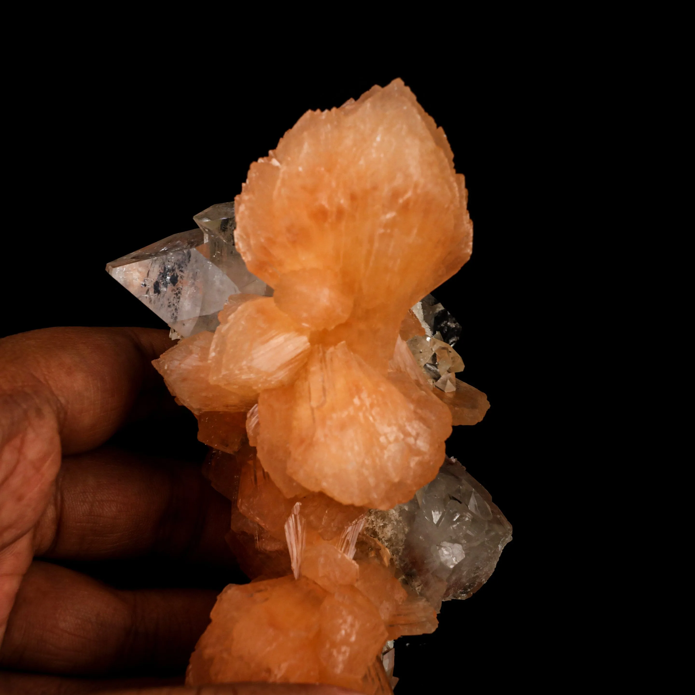 Apophyllite with Stilbite Natural Mineral Specimen - image 6