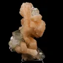 Apophyllite with Stilbite Natural Mineral Specimen - image 2