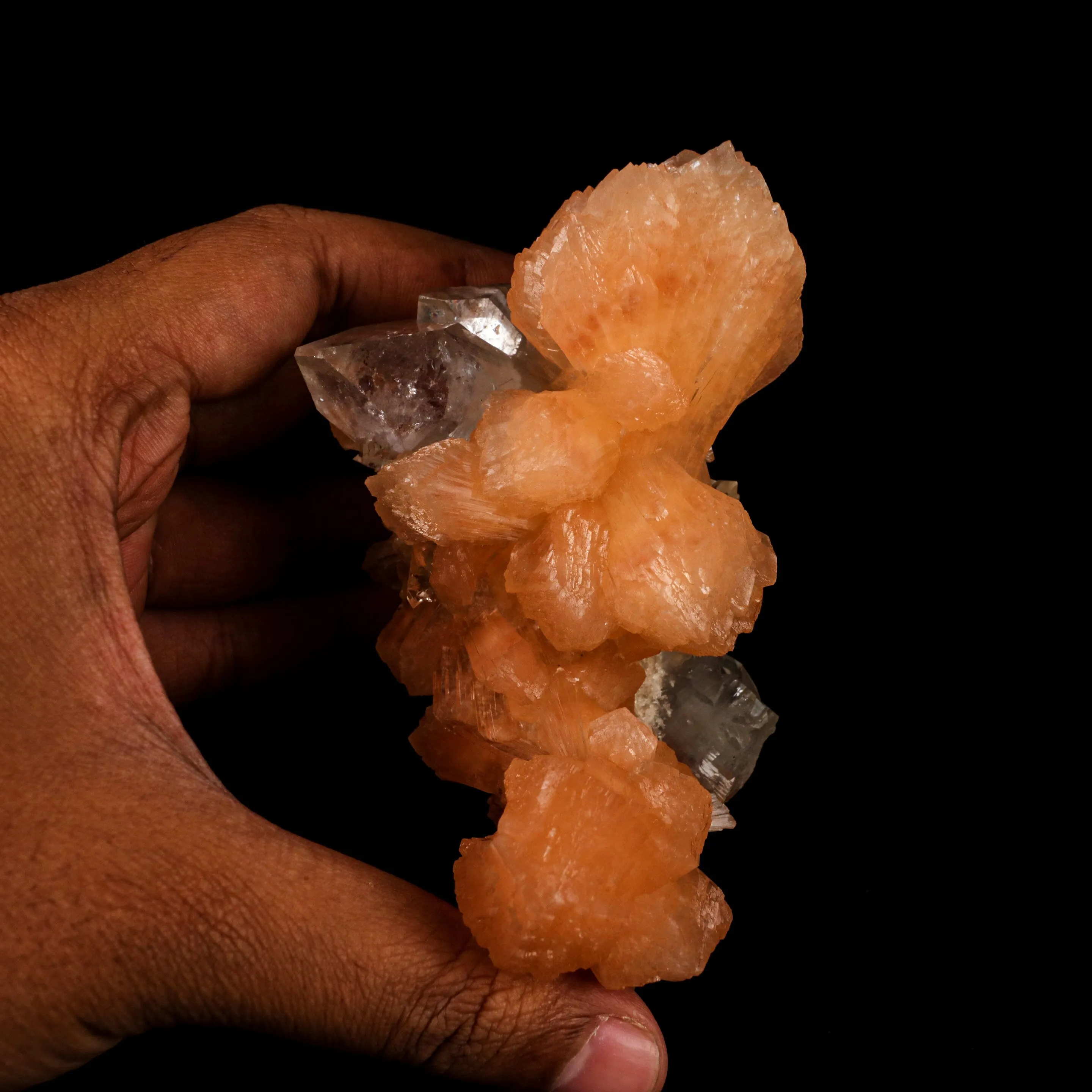 Apophyllite with Stilbite Natural Mineral Specimen - image 4