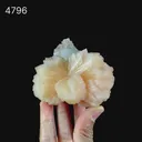 Apophyllite With Stilbite Perfect Bow-Tie formation Natural Mineral Specimen - image 6