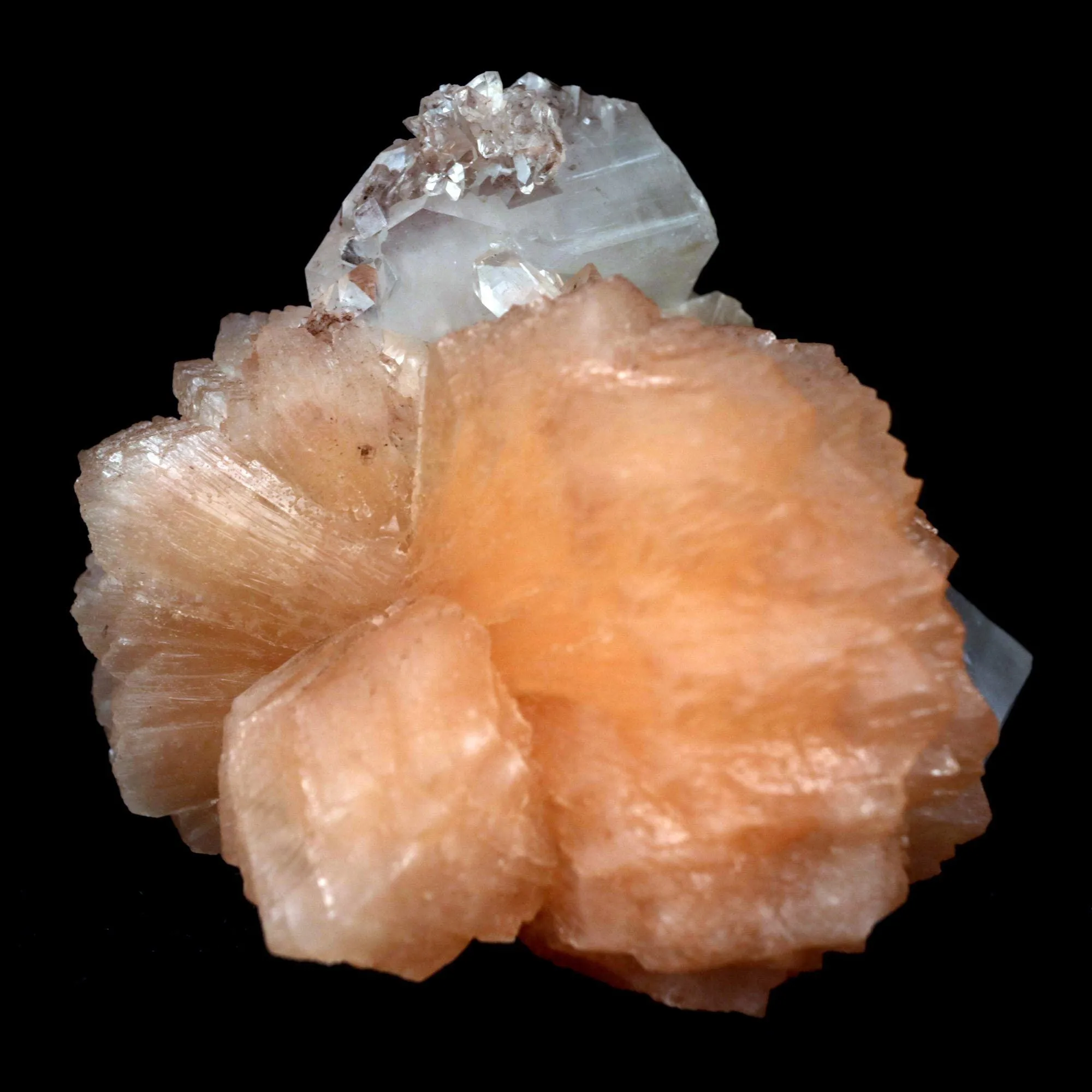 Apophyllite With Stilbite Perfect Bow-Tie formation Natural Mineral Specimen - image 3