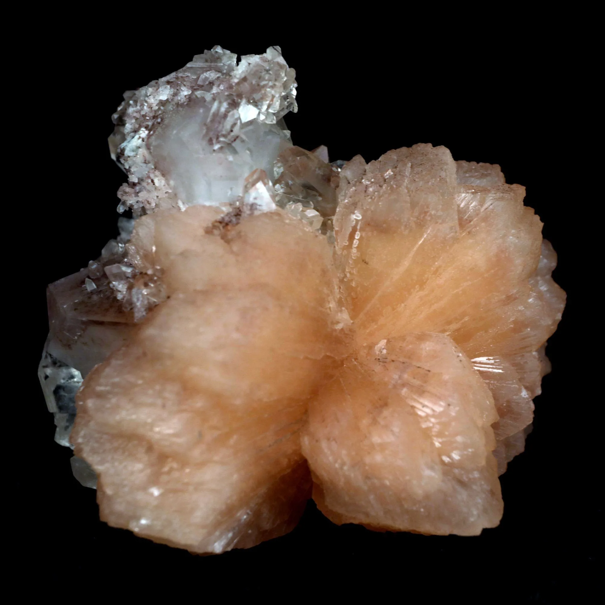 Apophyllite With Stilbite Perfect Bow-Tie formation Natural Mineral Specimen - image 2