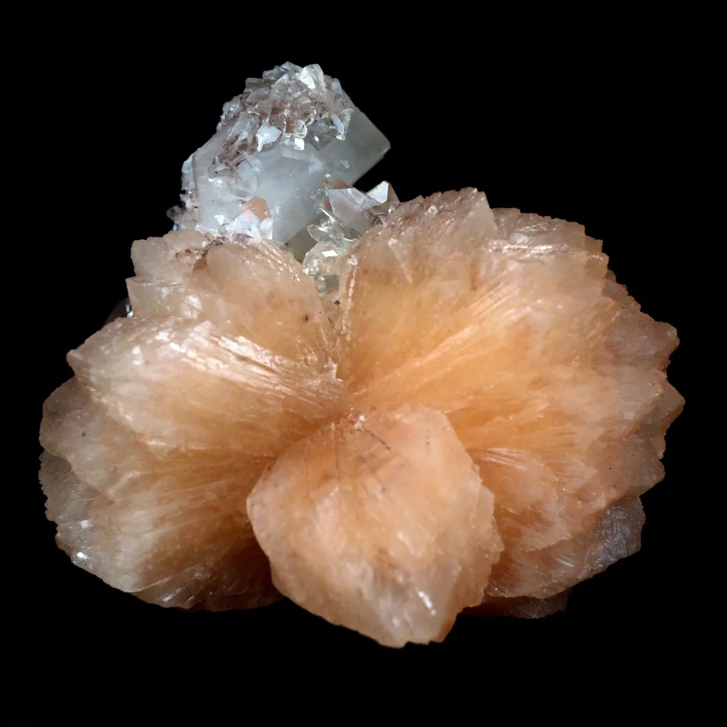Apophyllite With Stilbite Perfect Bow-Tie formation Natural Mineral Specimen image