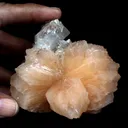 Apophyllite With Stilbite Perfect Bow-Tie formation Natural Mineral Specimen - image 4