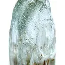 Aquamarine - image 2