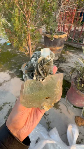 specimen video