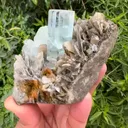 specimen video