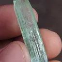 specimen video