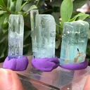 specimen video