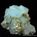 Aquamarine and Fluorite on Muscovite - image 2