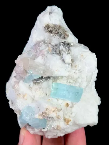 specimen video