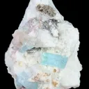 specimen video