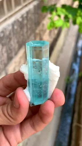 specimen video